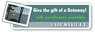 Gift Certificates available at Whale Watch Inn